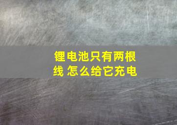 锂电池只有两根线 怎么给它充电